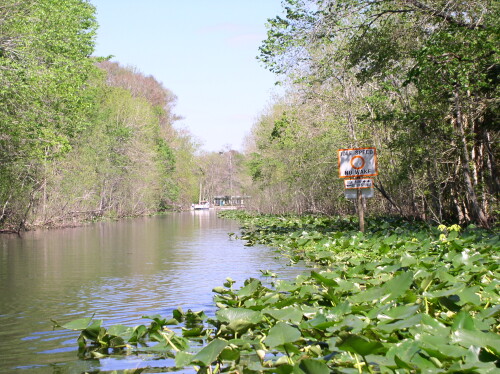 CanoeTrip 003