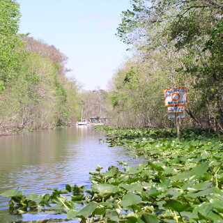 CanoeTrip-003