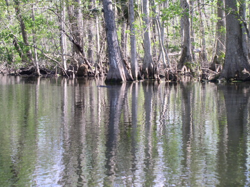 CanoeTrip 005