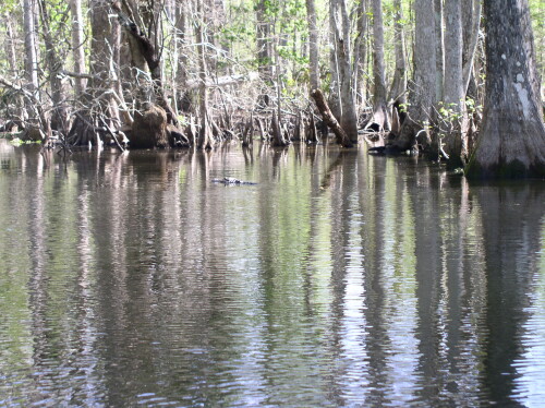 CanoeTrip 006