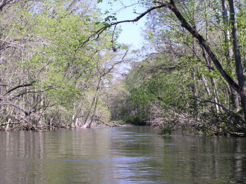 CanoeTrip 008