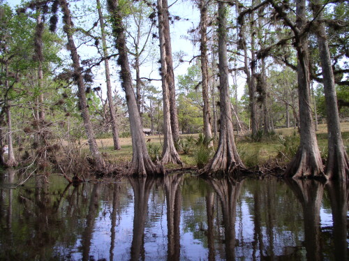 CanoeTrip 031