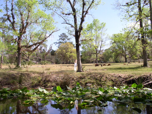 CanoeTrip 033