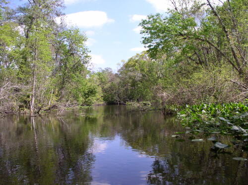 CanoeTrip 047