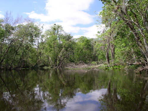 CanoeTrip 060