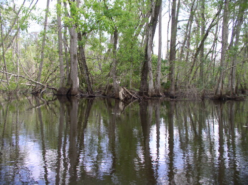 CanoeTrip 062