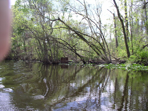 CanoeTrip 064