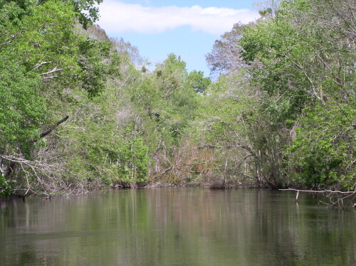 CanoeTrip 068