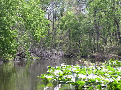 CanoeTrip 070