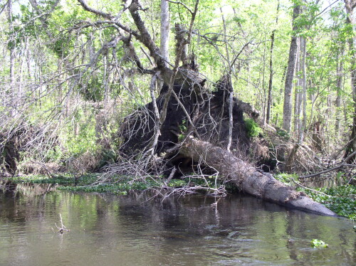 CanoeTrip 073