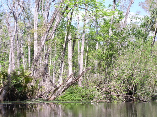 CanoeTrip 074