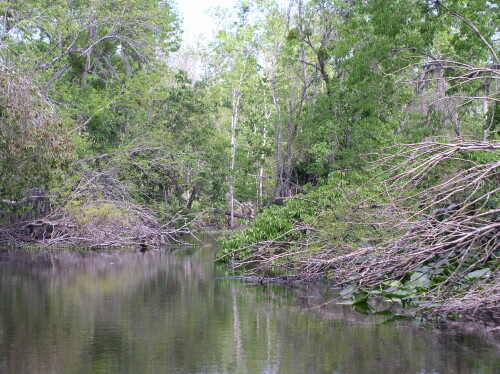 CanoeTrip 076