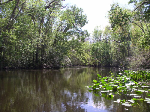 CanoeTrip 080