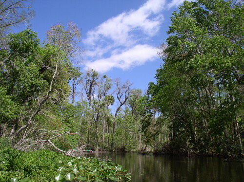 CanoeTrip 083