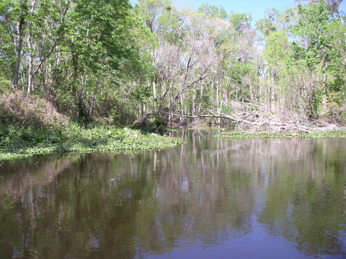 CanoeTrip 086