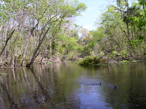 CanoeTrip 089