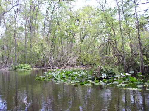 CanoeTrip 097