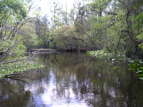 CanoeTrip 098