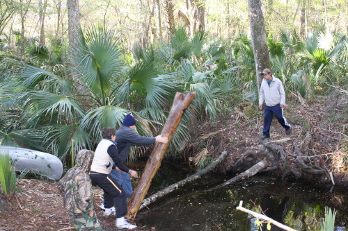 John Builds Bridge