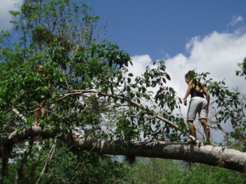 F-D-canoe-trip-09-029.jpg