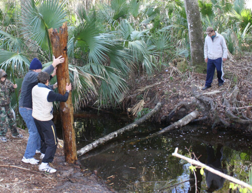 Lets-Build-A-Bridge.jpg