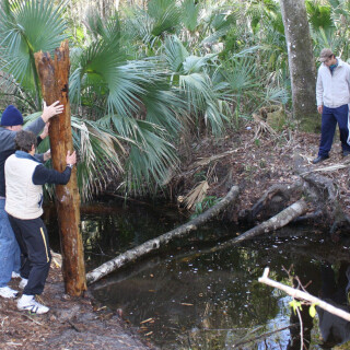 Lets-Build-A-Bridge