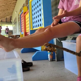 PIC_20210718_141457_jpeg