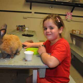 DSC_025270fdfdb7283aa99b