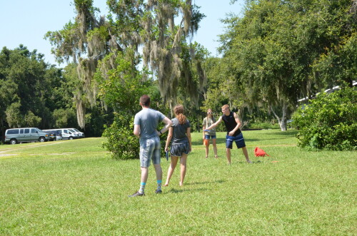 2018 07 12 Thursday (89)